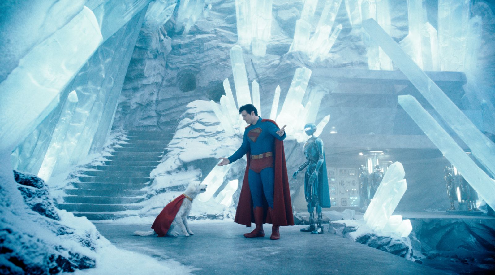 Superman: May the dog be with him.